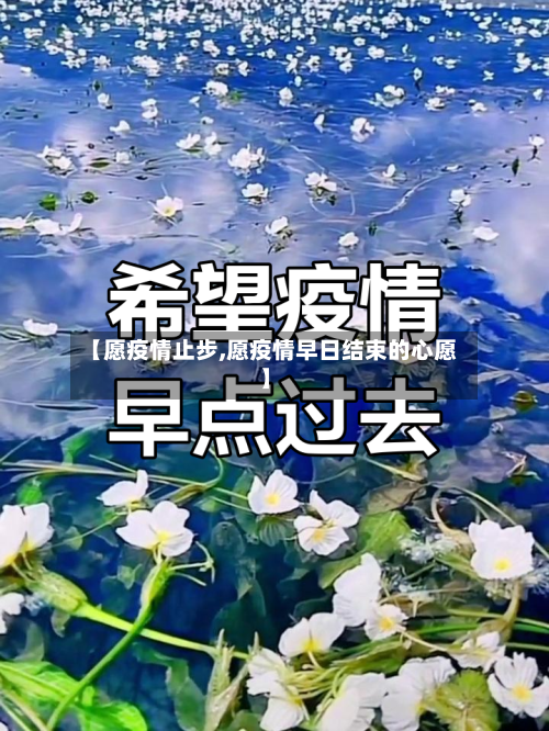 【愿疫情止步,愿疫情早日结束的心愿】-第2张图片