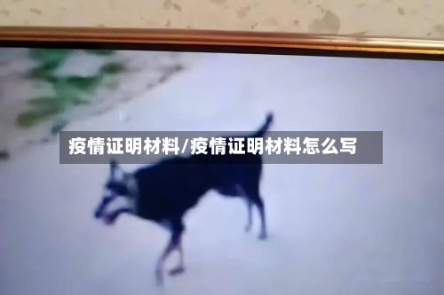 疫情证明材料/疫情证明材料怎么写-第3张图片