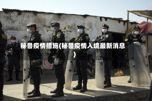 秘鲁疫情措施(秘鲁疫情入境最新消息)-第3张图片