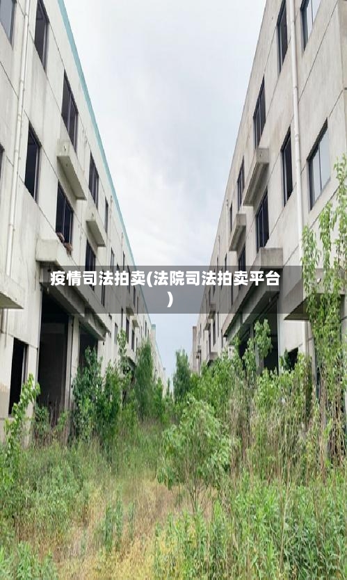 疫情司法拍卖(法院司法拍卖平台)-第1张图片