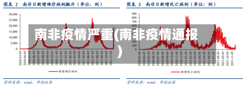 南非疫情严重(南非疫情通报)-第2张图片