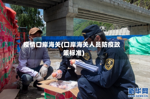 疫情口岸海关(口岸海关人员防疫政策标准)-第2张图片