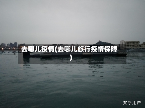 去哪儿疫情(去哪儿旅行疫情保障)-第3张图片