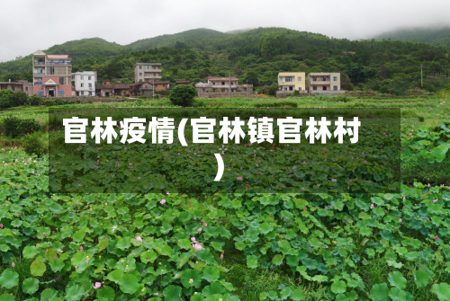 官林疫情(官林镇官林村)-第2张图片