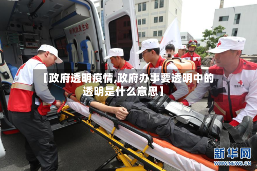 【政府透明疫情,政府办事要透明中的透明是什么意思】-第1张图片