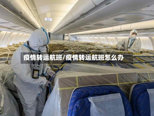 疫情转运航班/疫情转运航班怎么办-第2张图片