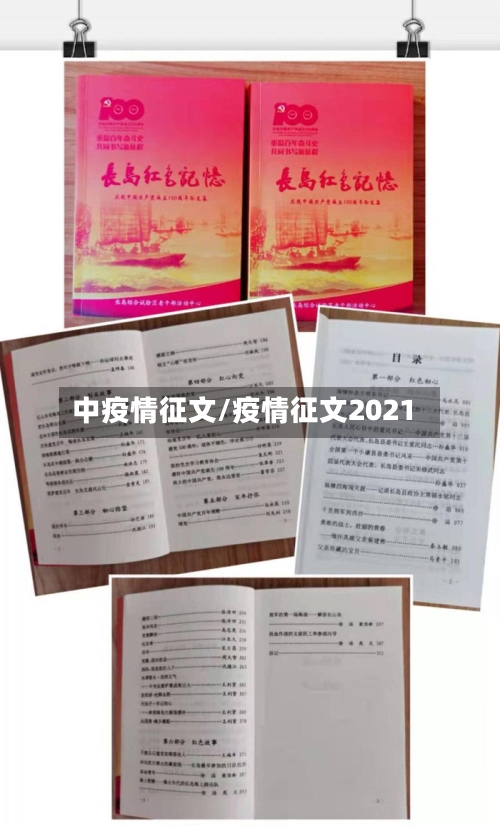 中疫情征文/疫情征文2021-第3张图片