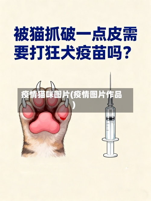 疫情猫咪图片(疫情图片作品)-第3张图片